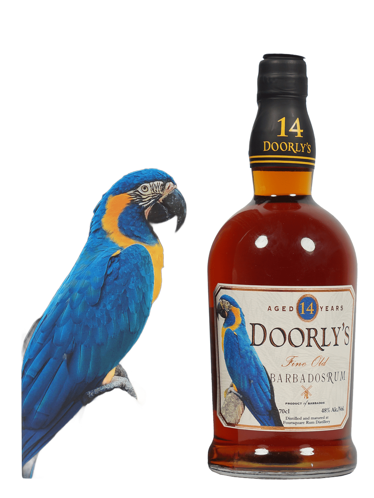 Doorly’s 14 year old - rum bottle beside a blue parrot
